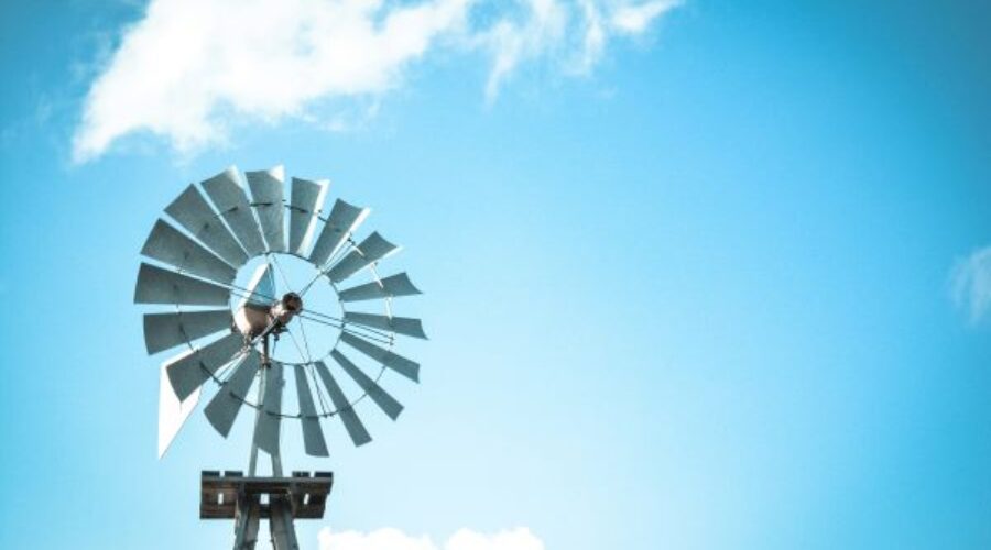 Photo by Koushik Chowdavarapu on Unsplash