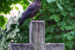 Photo by Robert Eklund on Unsplash